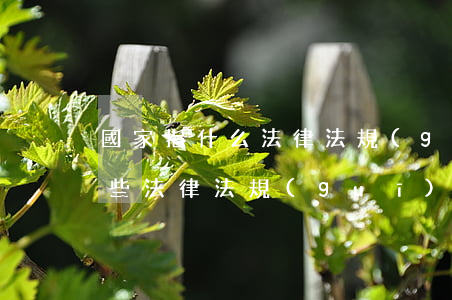 國家指什么法律法規(guī)(國家有哪些法律法規(guī)要求)