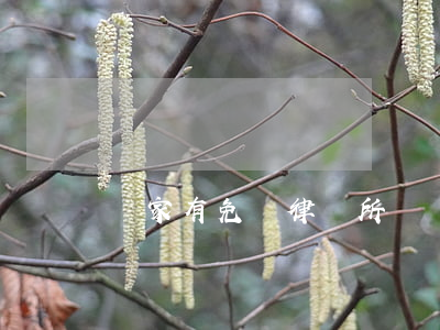 國家有免費律師所嗎