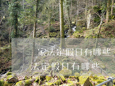 國家法定假日有哪些(現(xiàn)在國家法定假日有哪些)