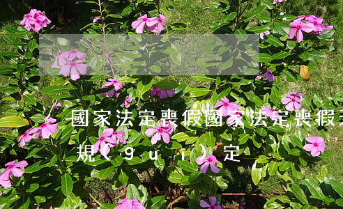 國家法定喪假(國家法定喪假天數(shù)規(guī)定)