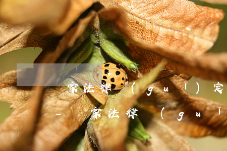 國家法律規(guī)定的逾期利息是多少-國家法律規(guī)定的逾期利息是多少錢