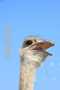 國家消防是否查網(wǎng)貸逾期(全國網(wǎng)貸逾期)