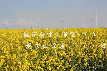 國家為什么保護(hù)捷信貸款(捷信貸款受法律保護(hù)嗎)