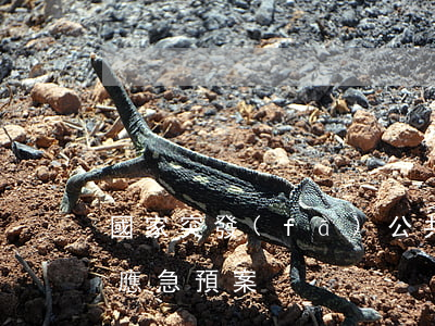 國家突發(fā)公共衛(wèi)生事件應急預案