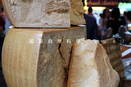 國家自然科學(xué)基金條例