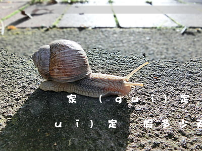 國家規(guī)定喪假多少天(國家規(guī)定喪假多少天外公去世)