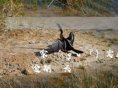 國家規(guī)定房貸幾天算逾期(房貸可逾期幾天)