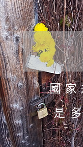 國家規(guī)定的信用卡逾期費用收取是多少（信用卡逾期產(chǎn)生費用嗎）