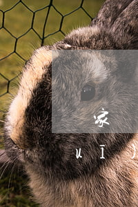 國家規(guī)定的退休年齡(國家規(guī)定的退休年齡是什么法律規(guī)定)