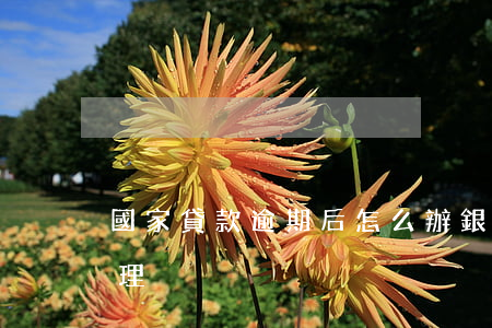 國家貸款逾期后怎么辦(銀行貸款逾期怎么處理)