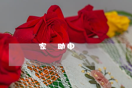 國家資助申請書