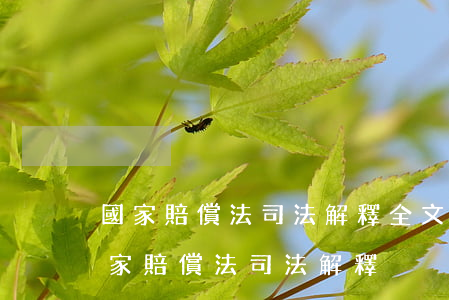 國家賠償法司法解釋全文（中華人民共和國國家賠償法司法解釋）