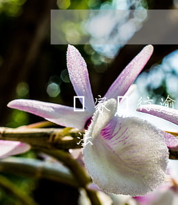 國家銀行逾期怎樣還款(銀行逾期怎么處理方法)