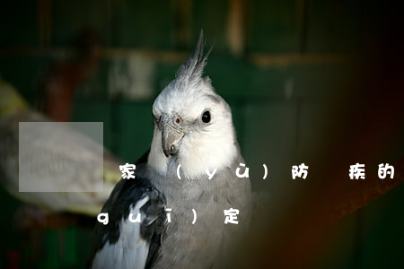 國家預(yù)防殘疾的主要措施如何規(guī)定