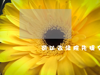 國慶可以去法院先提交材料嗎