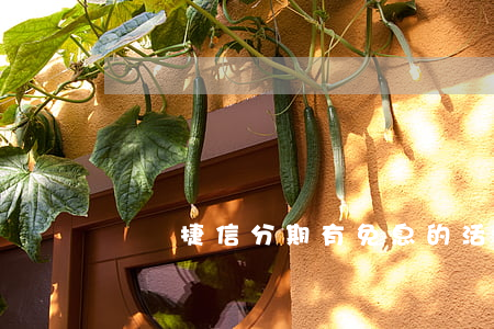 國慶捷信分期有免息的活動嗎