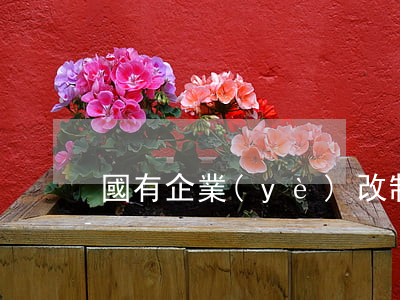 國有企業(yè)改制方案