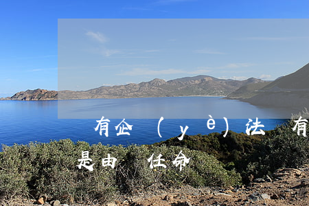 國有企業(yè)法(國有企業(yè)法人是由誰任命)