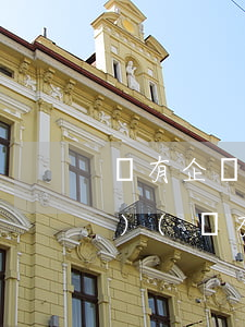 國有企業(yè)由哪些法律法規(guī)(國有企業(yè)改制有哪些法律法規(guī))