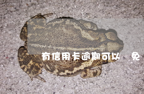 國有信用卡逾期可以減免嗎