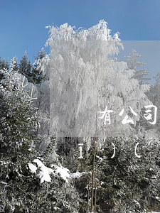 國有公司企業(yè)人員法律法規(guī)(國有公司企業(yè)事業(yè)單位人員失職罪的法律條文)