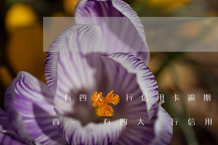 國有四大銀行信用卡逾期怎么協(xié)商-國有四大銀行信用卡逾期怎么協(xié)商還款