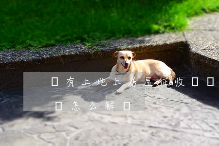 國有土地上房屋征收與補(bǔ)償條例解釋怎么解讀