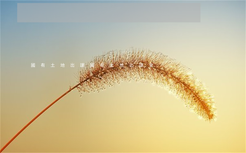 國有土地出讓(國有土地出讓金)