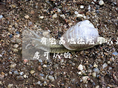 國有宅基地法院可以查封嗎(法院查封宅基地房可以拍賣嗎)