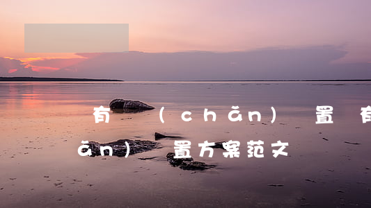 國有資產(chǎn)處置(國有資產(chǎn)處置方案范文)