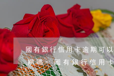 國有銀行信用卡逾期可以協(xié)商分期嗎-國有銀行信用卡逾期可以協(xié)商分期嗎