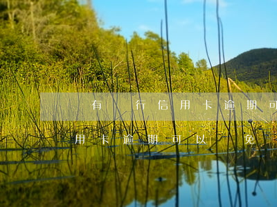 國有銀行信用卡逾期可以減免嗎(國有銀行信用卡逾期可以減免嗎利息嗎)