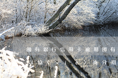 國有銀行信用卡逾期(國有銀行信用卡逾期可以協(xié)商分期嗎)