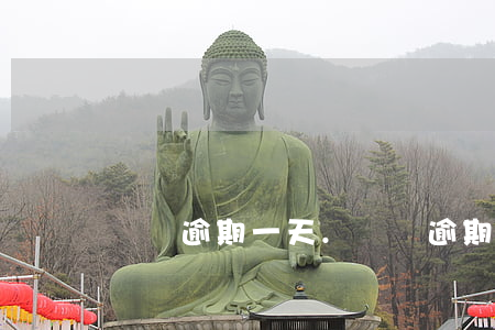 國稅逾期一天.(國稅逾期怎么交罰款)