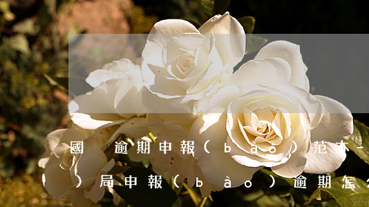 國稅逾期申報(bào)范本-稅務(wù)局申報(bào)逾期怎么辦