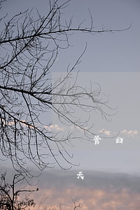 國管公積金還款逾期4天(公積金貸款逾期4天)