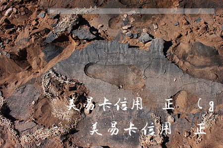 國美易卡信用貸正規(guī)嗎怎么還款-國美易卡信用貸正規(guī)嗎怎么還款的
