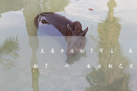 國美易卡逾期了可以協商還款嗎(國美易卡逾期了說我惡意逾期已交相關部門審核)