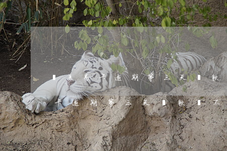 國美易卡逾期第三天還款還不進去-國美易卡逾期第三天還款還不進去怎么辦