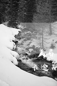國美易卡逾期說會投訴到上班公司-國美易卡逾期說會投訴到上班公司嗎
