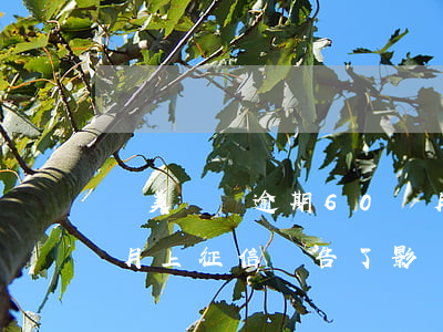 國美網貸逾期60個月(國美網貸逾期60個月,上征信報告了,影響房貸嗎)