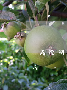 國美逾期已還款還打緊急聯(lián)系人嗎-國美逾期已還款還打緊急聯(lián)系人嗎是真的嗎