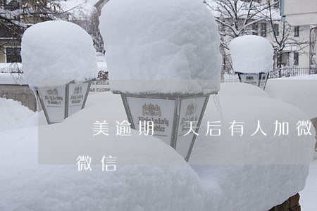 國美逾期幾天后有人加微信(國美逾期要求加微信)