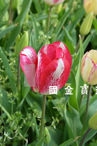 國金寶逾期(國金寶結(jié)案了沒)