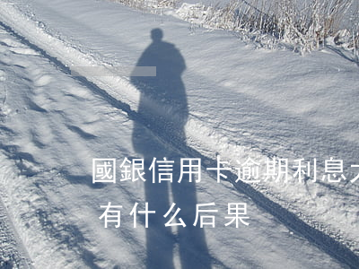 國銀信用卡逾期利息太高(銀行卡信用卡逾期有什么后果)