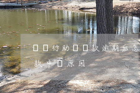 國開行助學貸款逾期后怎么還 國開行助學貸款申請原因
