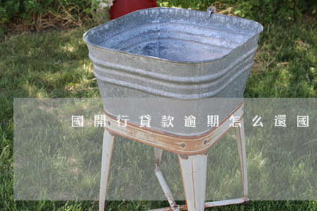 國開行貸款逾期怎么還(國開銀行貸款)