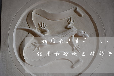 國際信用卡透支手續(xù)費(fèi)嗎(信用卡跨境支付的手續(xù)費(fèi))