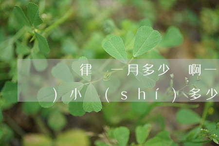 國際律師一月多少錢啊(一般律師一個(gè)小時(shí)多少錢)