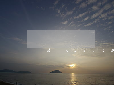 國際技術(shù)服務合同